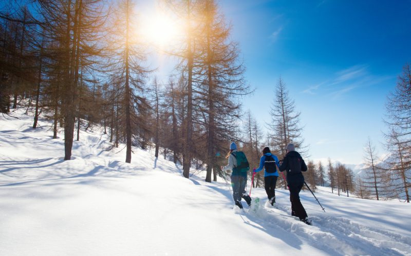 excursions en raquettes